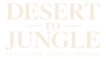 Desert to Jungle