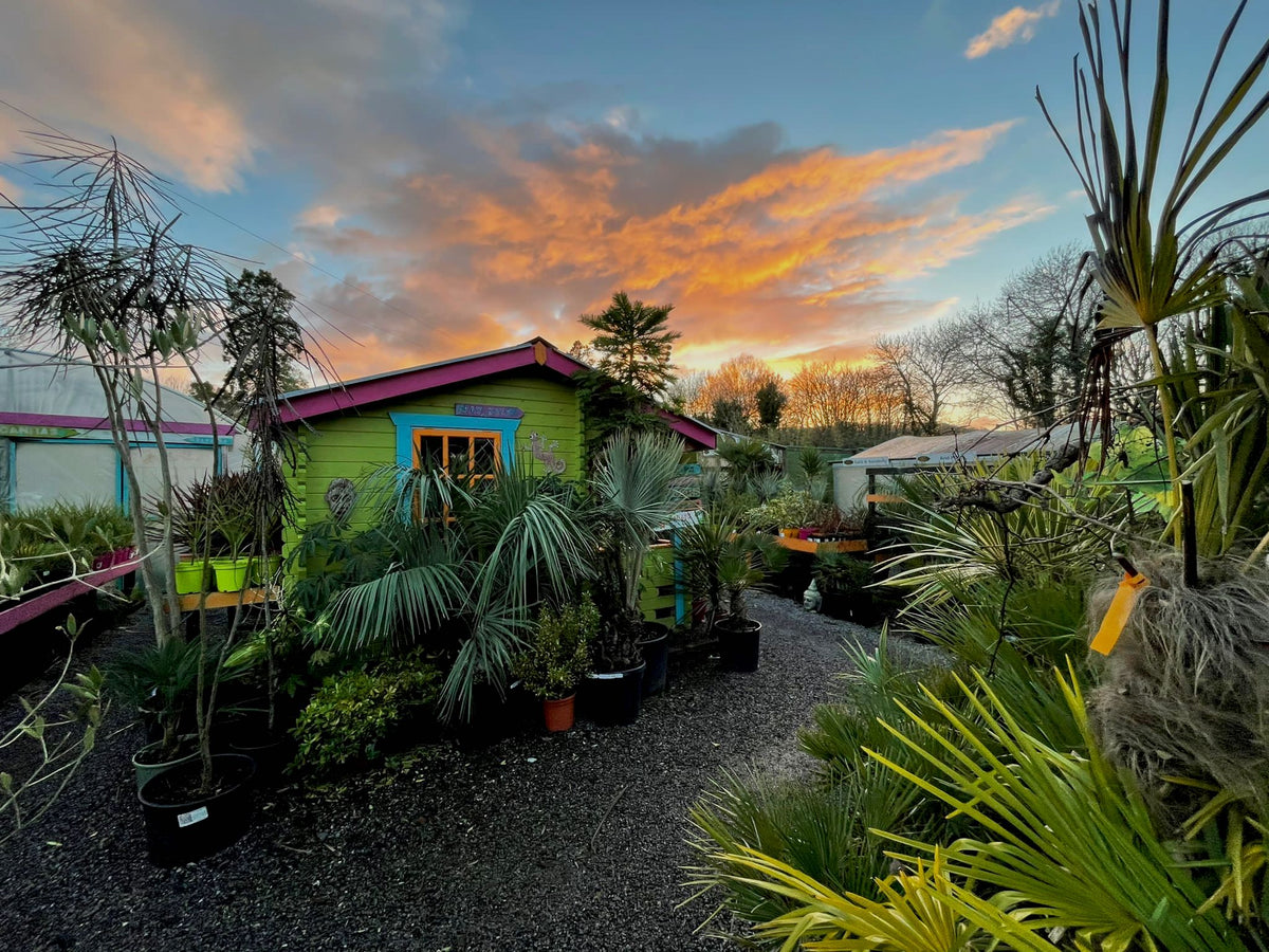 A plant hunter's
destination.