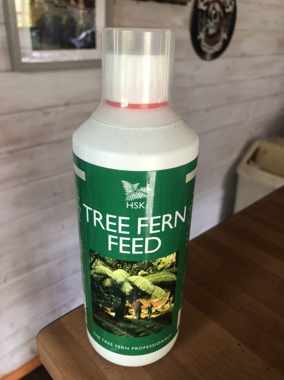 A Tree Fern Food